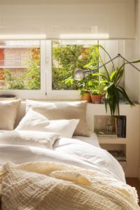 3 almohadas en una cama con una planta