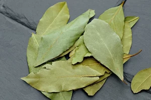 hojas de laurel sobre colchon