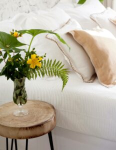 almohadas y cojines con planta en una mesa