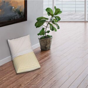 almohada en el piso con una planta