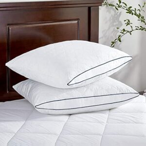 dos almohadas blancas